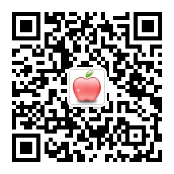 九中报名网站